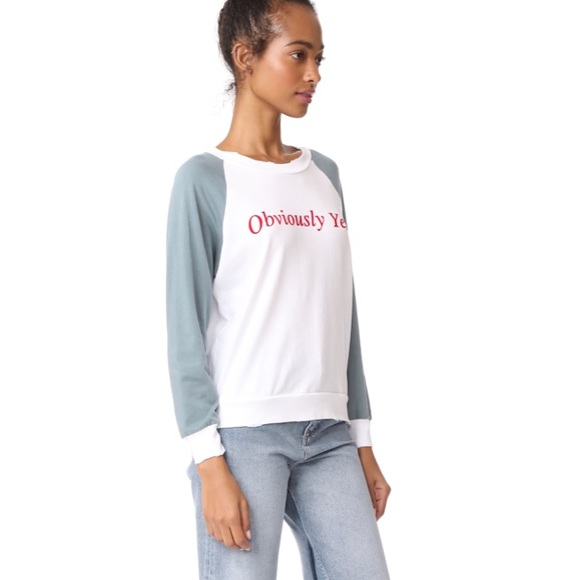 SOLD🤙🏼WILDFOX✨Sweatshirt - Picture 8 of 8